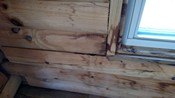 Water Damage Removal